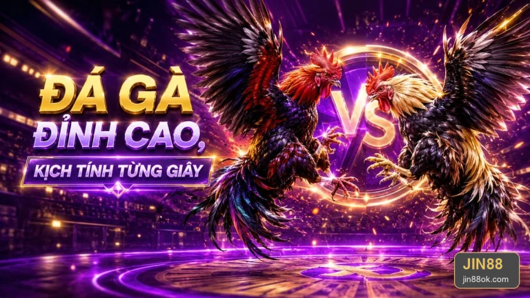 Kinh Nghiệm JIN88: Ghi Chép Phiên Đá Gà Trực Tuyến Để Hiểu Thói Quen, Không Tìm Công Thức Thắng – jin88ok.com